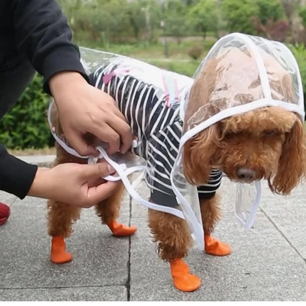 Transparent waterproof raincoat for dogs size XXL